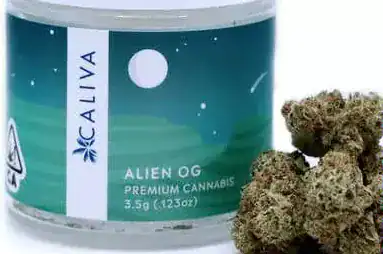 Alien OG-Premium
